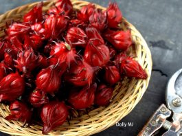 Tác dụng của cây atiso và những điều cần lưu ý